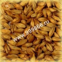 Солод ячм. карамельный Castle Malting Cara Gold, 1 кг. (Бельгия)
